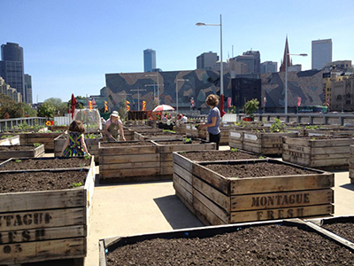 Raised beds